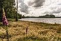 2015_06_21 (0050)